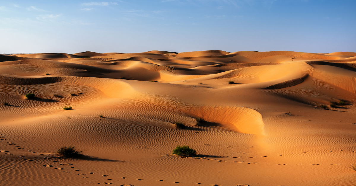 Endless sand dunes stretching into the distance.
